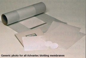 Blotting membrane, nitrocellulose, 82mm Ø, pore size 0.20µm. Very high protein and nucleic acid binding. Pack of 25