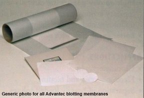 Blotting-Membran, Nitrocellulose, 82mm Ø, Porengröße 0,20µm. Sehr hohe Protein- und Nucleinsäure-Bindung . Pkg. à 25 Stück