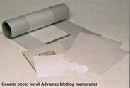Blotting membrane, nitrocellulose, 82mm Ø, pore size 0.45µm. Very high protein and nucleic acid binding. Pack of 25
